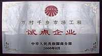 试点企业