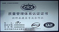 质量管理体系认证证书